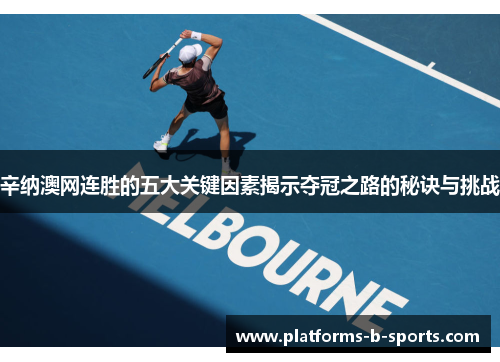 辛纳澳网连胜的五大关键因素揭示夺冠之路的秘诀与挑战