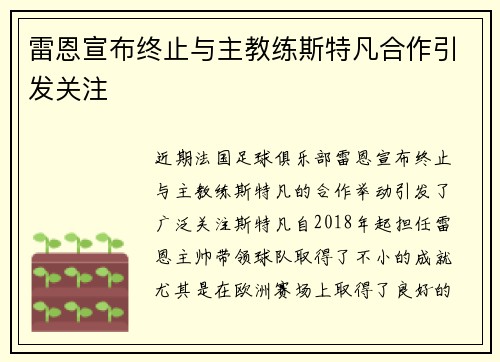 雷恩宣布终止与主教练斯特凡合作引发关注